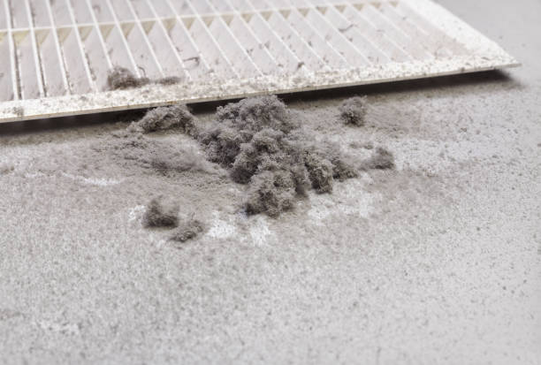 Best Affordable HVAC Duct Cleaning  in Lucedale, MS