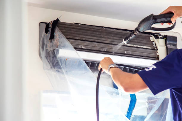 Best Air Duct Mold Removal  in Lucedale, MS