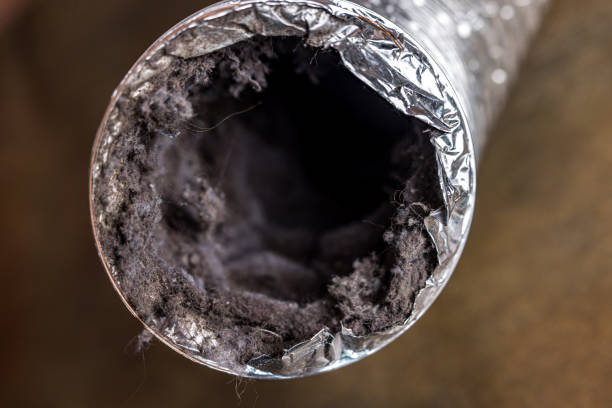 Best Air Duct Cleaning Near Me  in Lucedale, MS