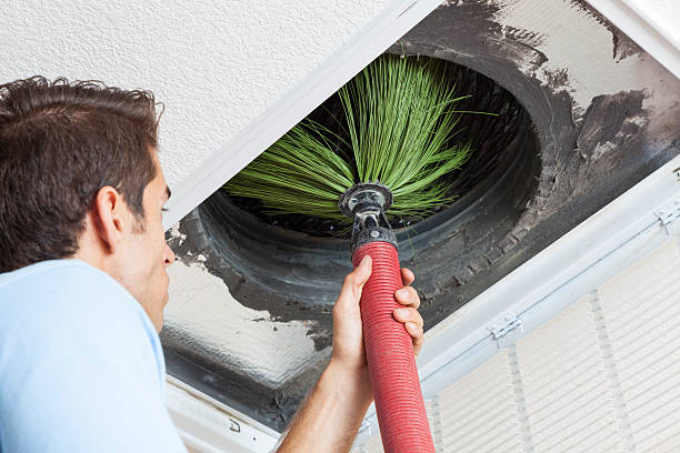 Best Emergency Air Duct Cleaning  in Lucedale, MS
